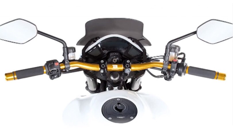 Barracuda: manubri in 4 colori