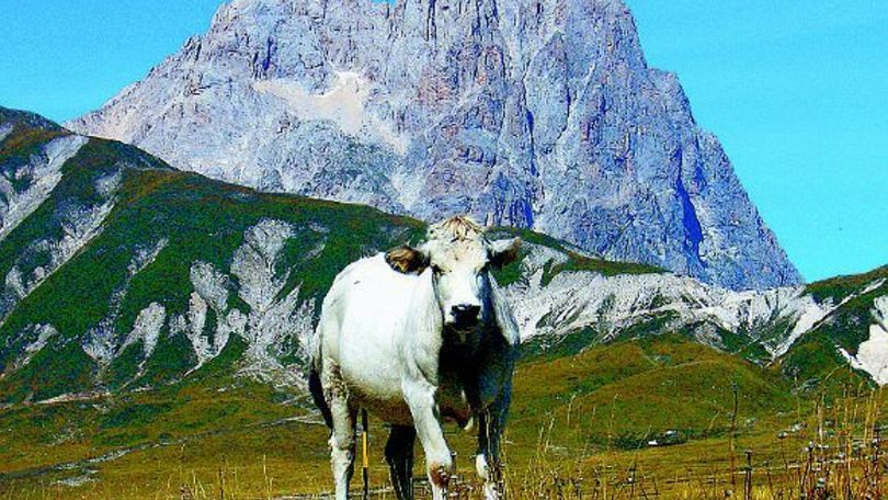 Strade da sogno: Abruzzo