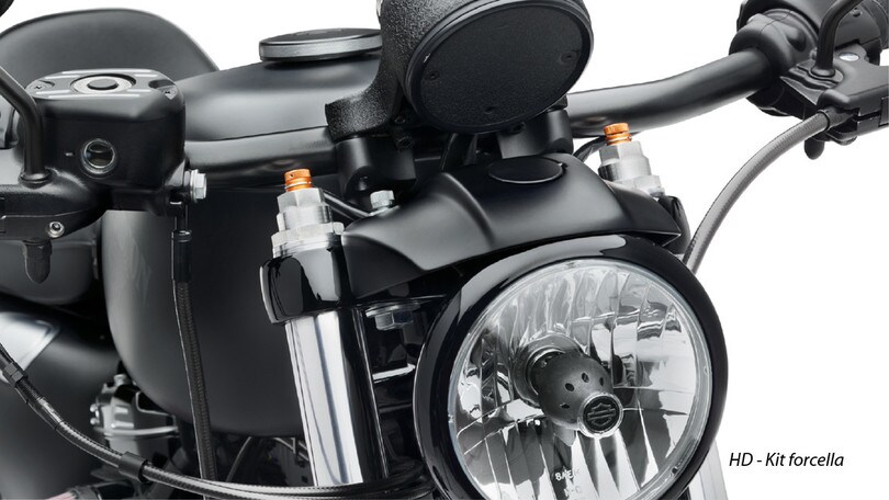Harley-Davidson: prestazioni ed estetica