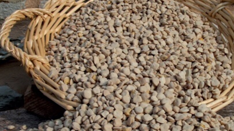 Alla scoperta del gusto, dalle colline alle alpi