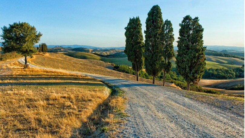 Il tour fra le sagre d’Italia porta a Greccio, Canino e Carrù