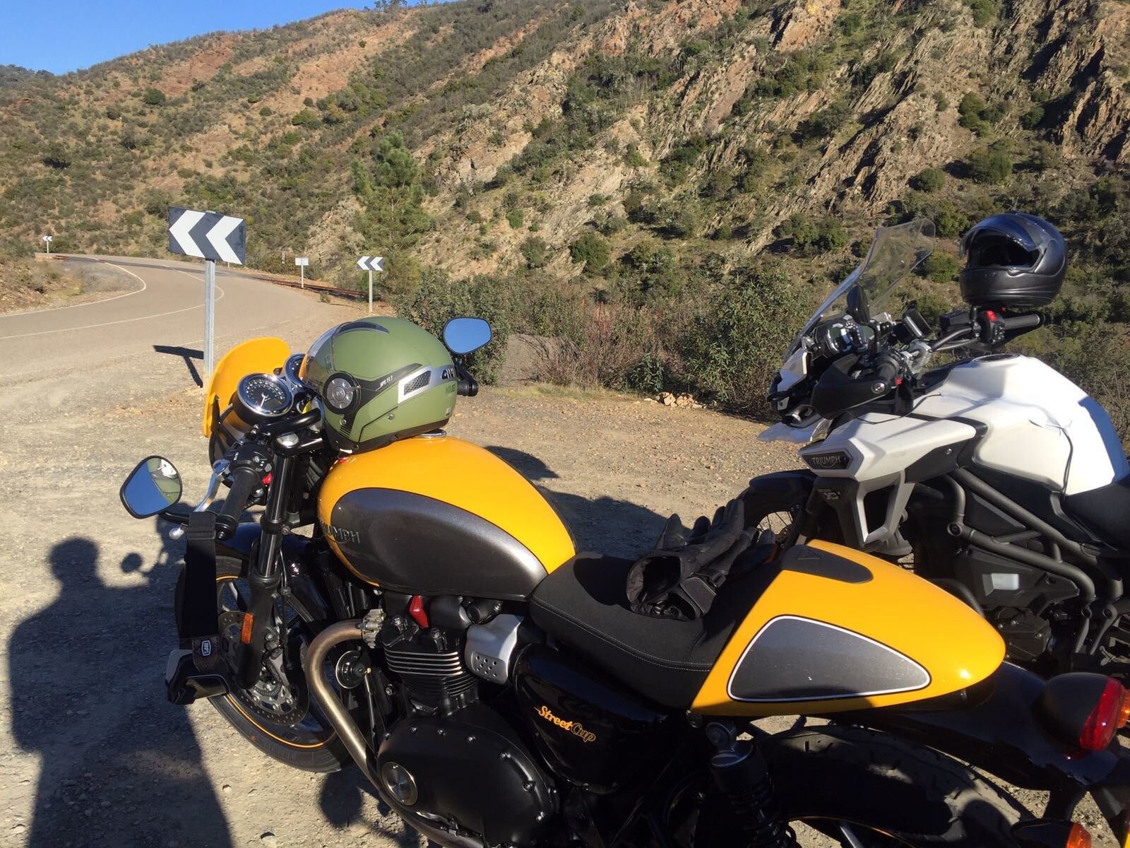 Triumph Street Cup e Scrambler: l'antipasto del test!