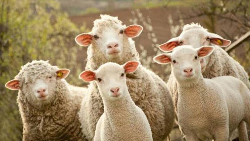 In viaggio tra l’Emilia-Romagna e l’Umbria nel weekend delle sagre