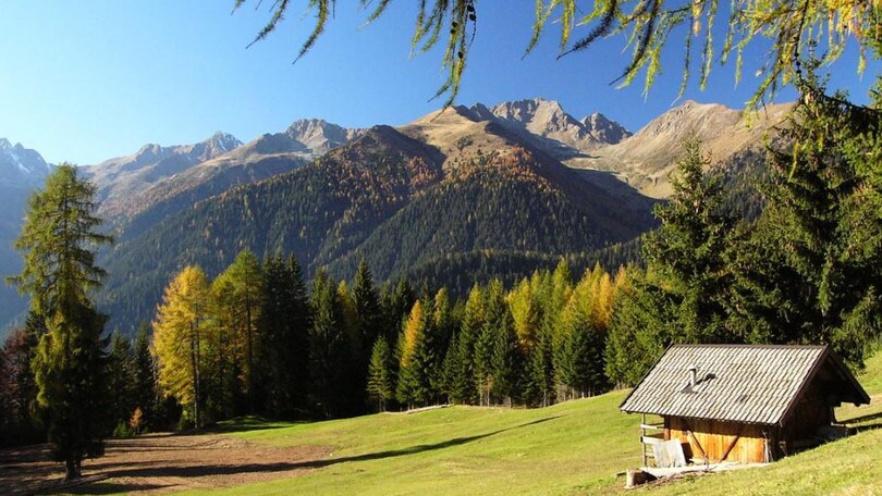 Sagre, gli appuntamenti del fine settimana portano a Tassullo, Città della Pieve e a Noventa Padovana