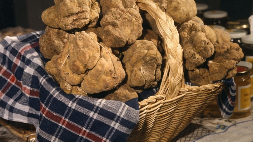 Sagre, gli appuntamenti del fine settimana portano in Lombardia, Umbria e Sicilia