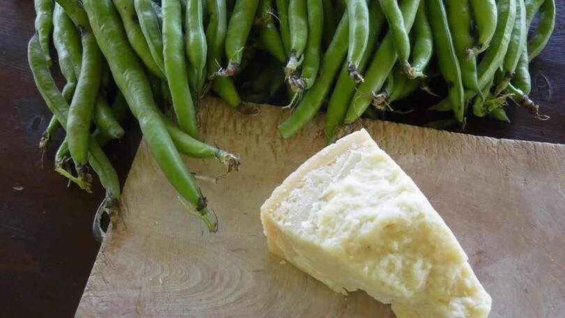 In viaggio verso Nepi tra le caratteristiche forre e il delizioso pecorino romano