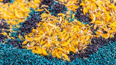 Infiorate e ricette della tradizione protagoniste dall’Umbria al Lazio