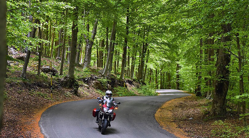 Gargano, sperone della "goduria" - LE FOTO