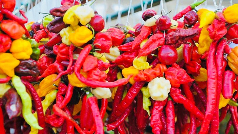 Dal Veneto al Lazio, in viaggio tra le migliori sagre del weekend