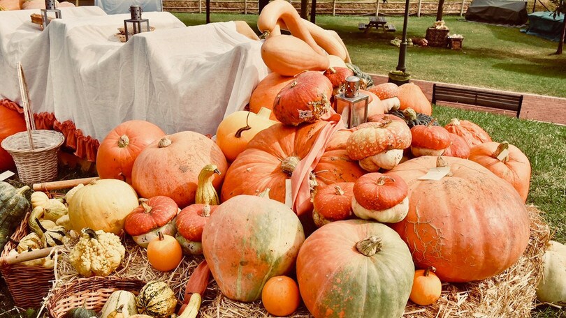 Il fine settimana delle sagre va in scena a Cretone, Sutri e Pastrengo