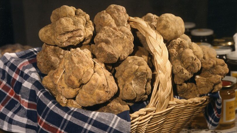 Sagre, il tour settimanale conduce ad Apecchio, Cesena e Zafferana Etnea