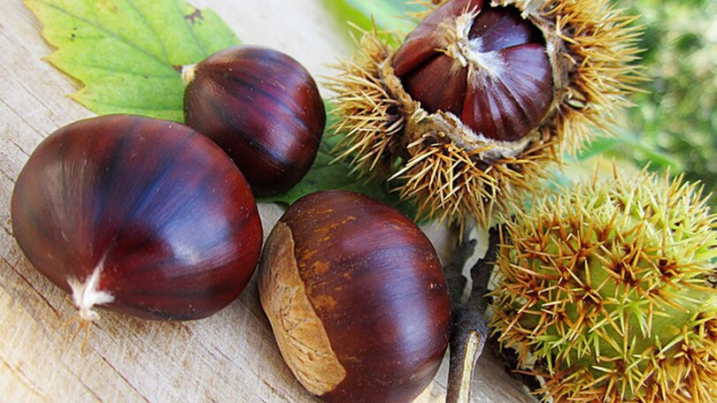 Castagne e vino, così nei borghi italiani si saluta l’arrivo dell’autunno