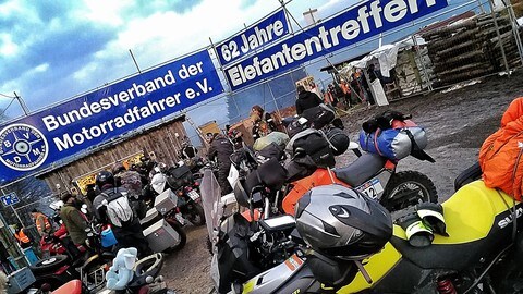 Raduni, Elefantentreffen - LE FOTO