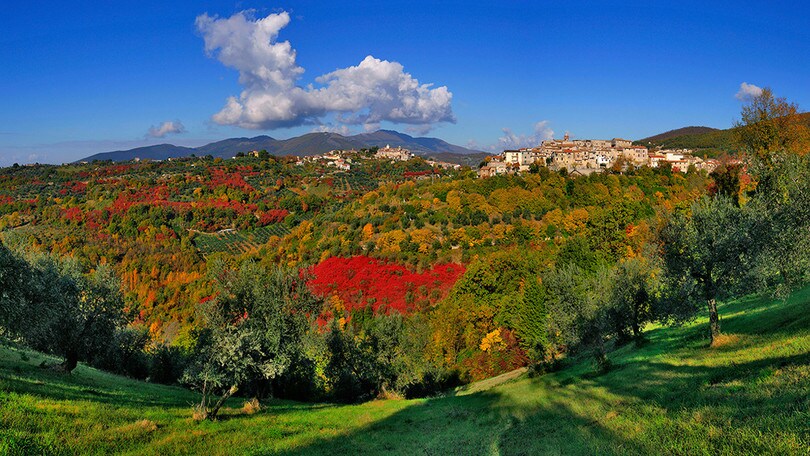 Casaprota mette in mostra il suo olio d’oliva alla Sagra della Bruschetta