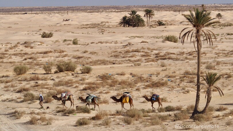 Tunisia d’inverno #2 - LE FOTO