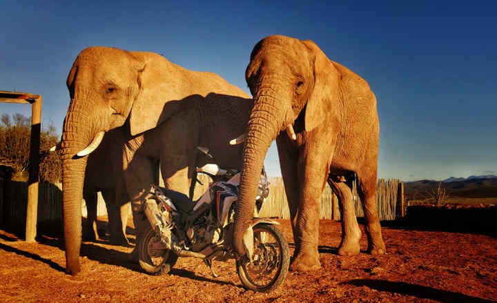 Honda Adventure Roads 2019: vi portiamo alla scoperta dell’Africa