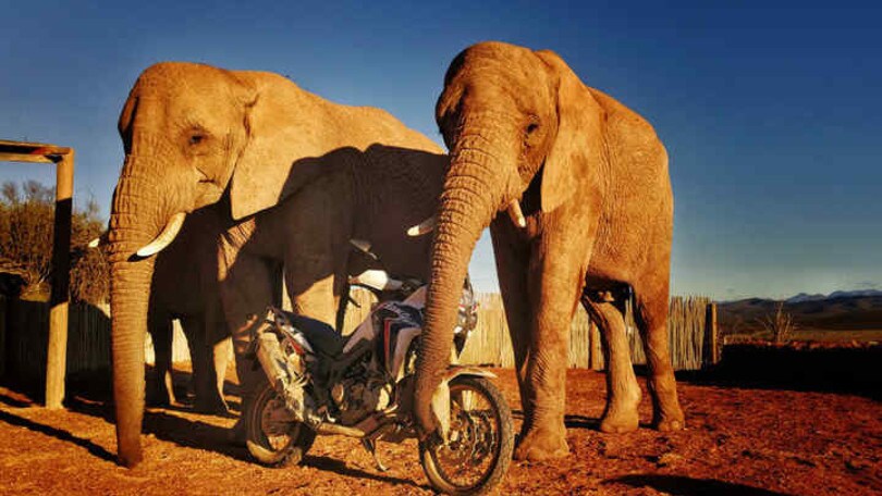 Honda Adventure Roads 2019: vi portiamo alla scoperta dell’Africa