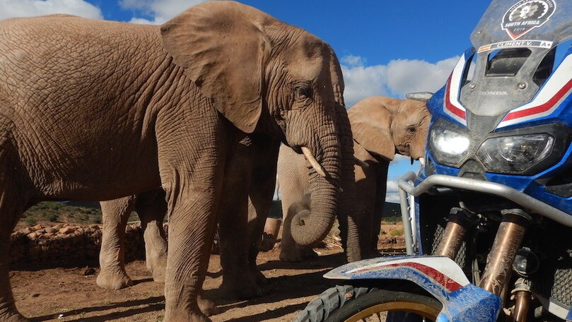 Report HAR 2019: Sud Africa #2