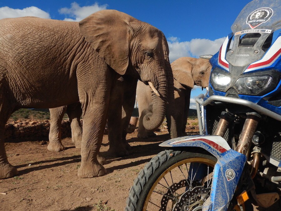 Report HAR 2019: Sud Africa #2 - LE FOTO