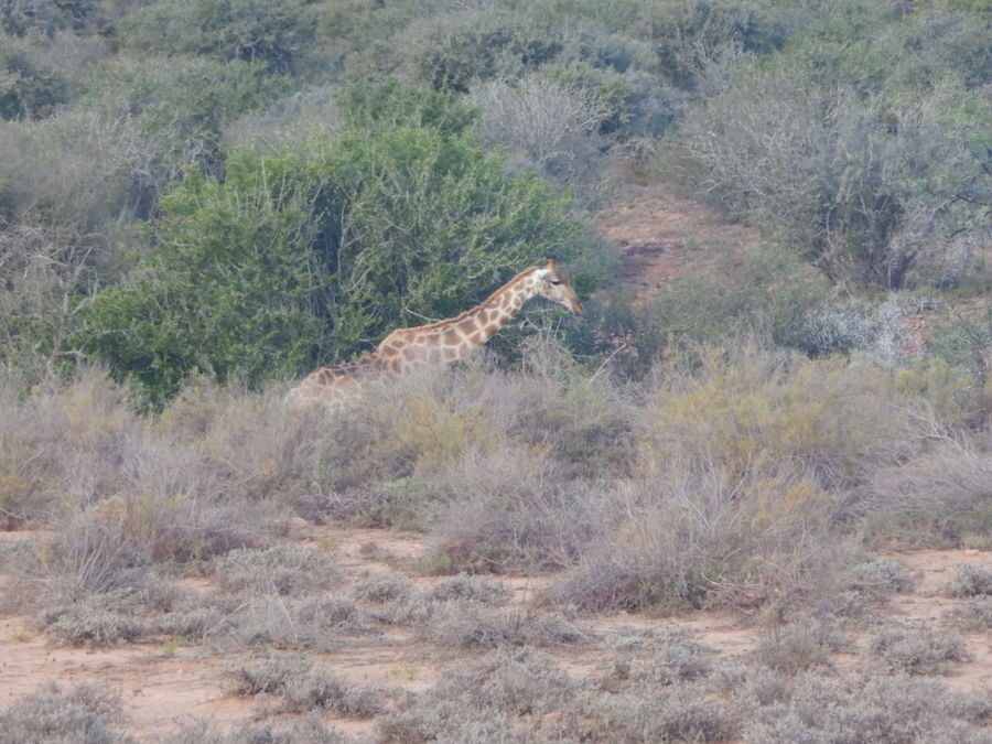 Report HAR 2019: Sud Africa #2 - LE FOTO