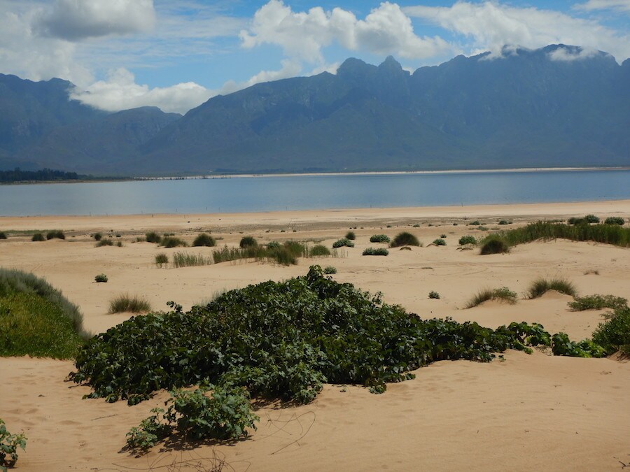 Report HAR 2019: Sud Africa #2 - LE FOTO