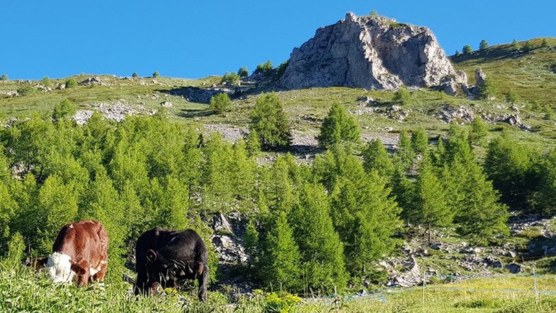 Gli eventi del weekend: La Thuile, Castel di Tora, Canterano e Monteleone d’Orvieto