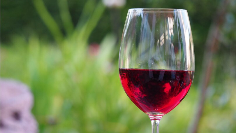 “Il Giorno di Bacco”, l'evento al Castello di Palombara Sabina