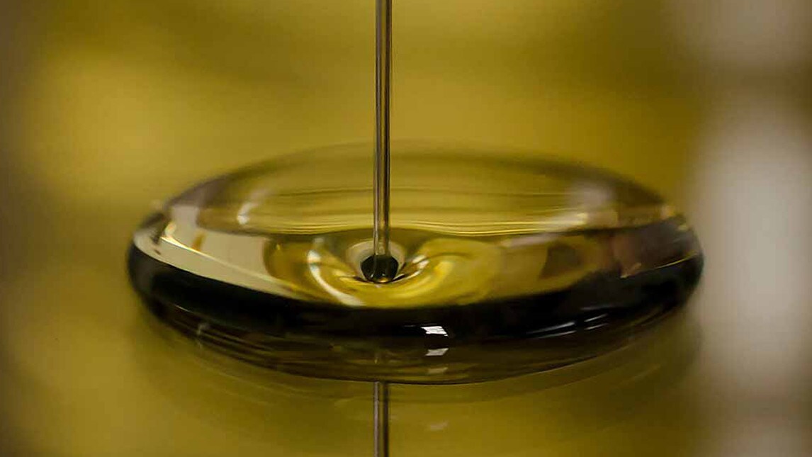 A Canino l’olio extravergine d’oliva si gusta nei caratteristici cantinoni