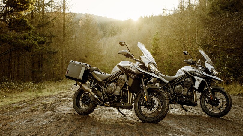 La Triumph Tiger 1200 ora anche in versione Desert e Alpine – LE FOTO