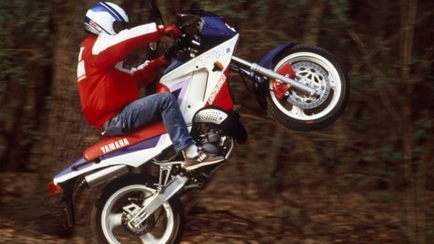 Yamaha TDR 125 e 250 le "Bruciasemafori" FOTO