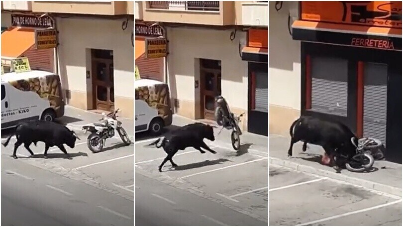 Toro scatenato prende a cornate una moto: il video è impressionante!