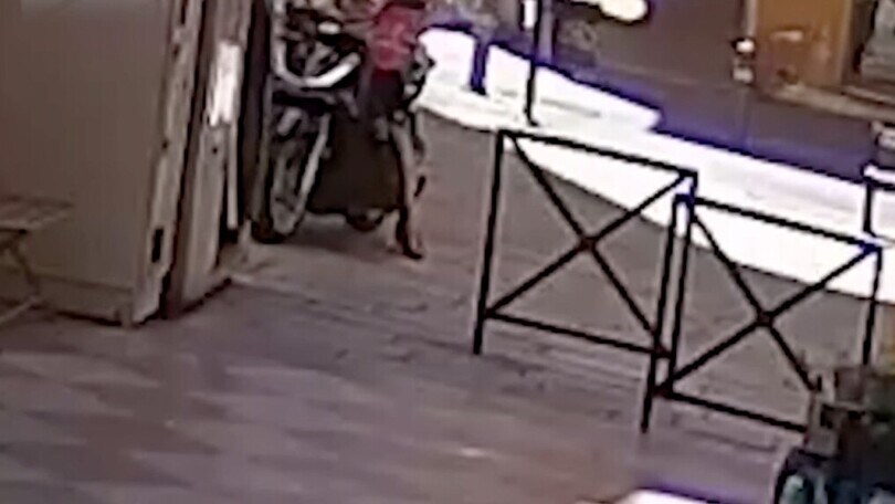 Bologna, arrestato il ladro seriale di Honda SH