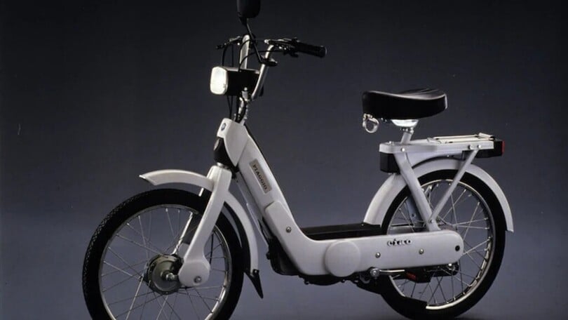 Ciao rubato e ritrovato dopo 23 anni torna finalmente a casa