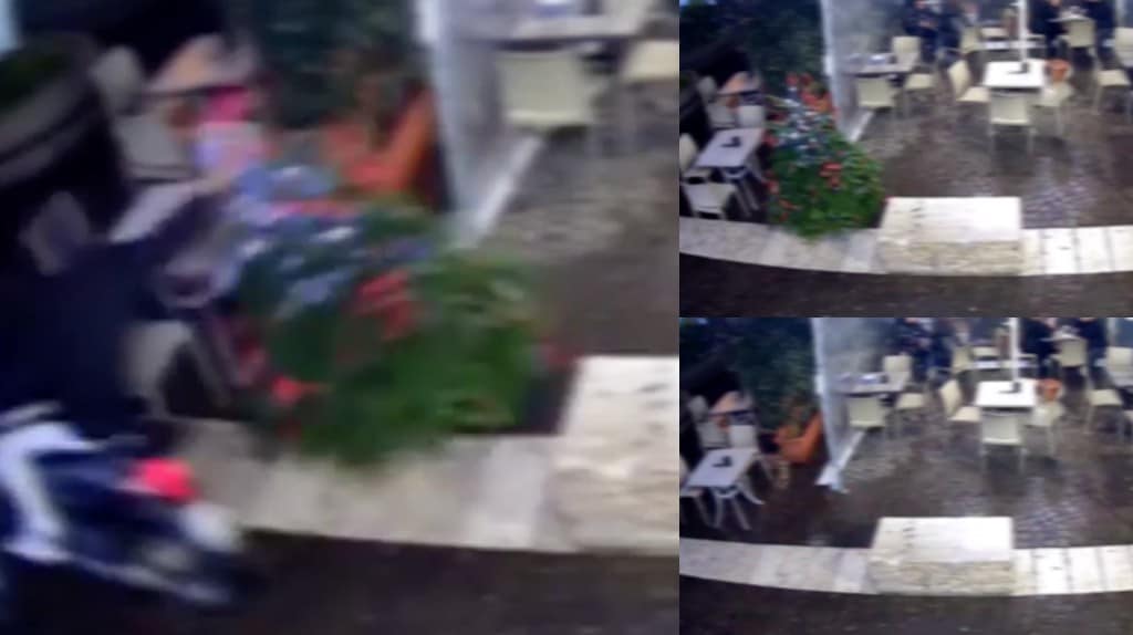 Sfrecciano in scooter tra i tavoli del bar e rubano l'albero di Natale