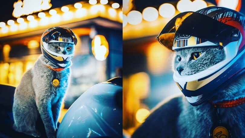 Il motociclista e il suo gatto biker: due cuori e una moto