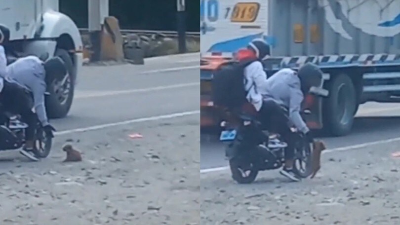Cuore di motociclista: salva cucciolo dalla strada diventando il suo eroe