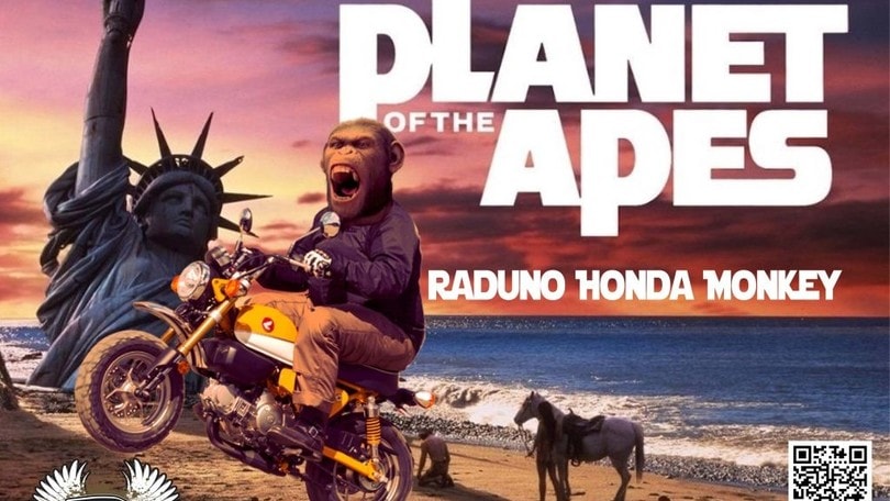 Planet of the Apes! Arriva il primo raduno nazionale per Honda Monkey e derivati