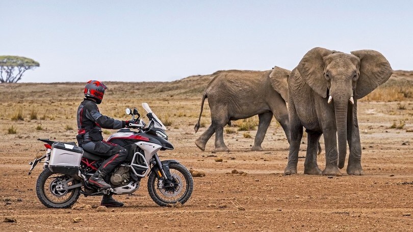 Ducati Multistrada V4 Rally, LE FOTO