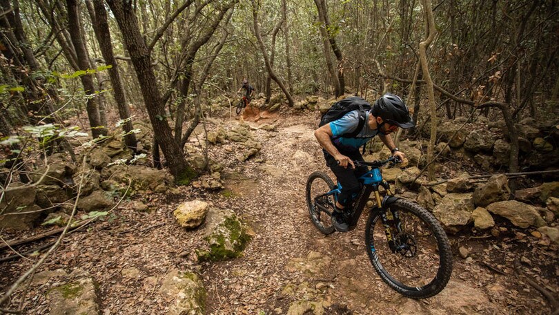 Un'idea smart per prendersi cura dell'ambiente