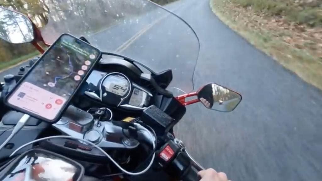 Motociclista contro un cervo: scontro fatale