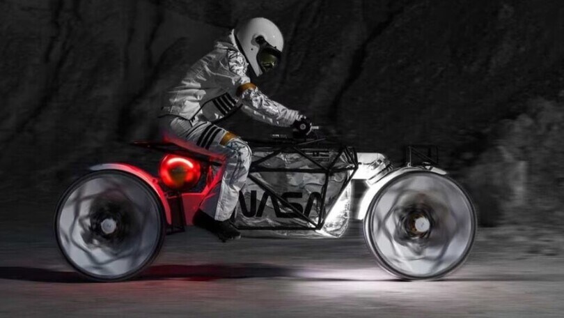 "Tardigrade" by Hookie.Co