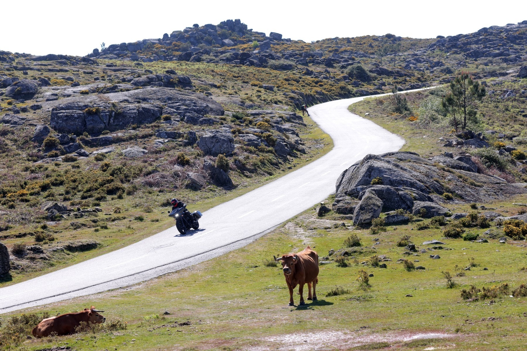 Con le Honda 1100 in Portogallo: le foto del test