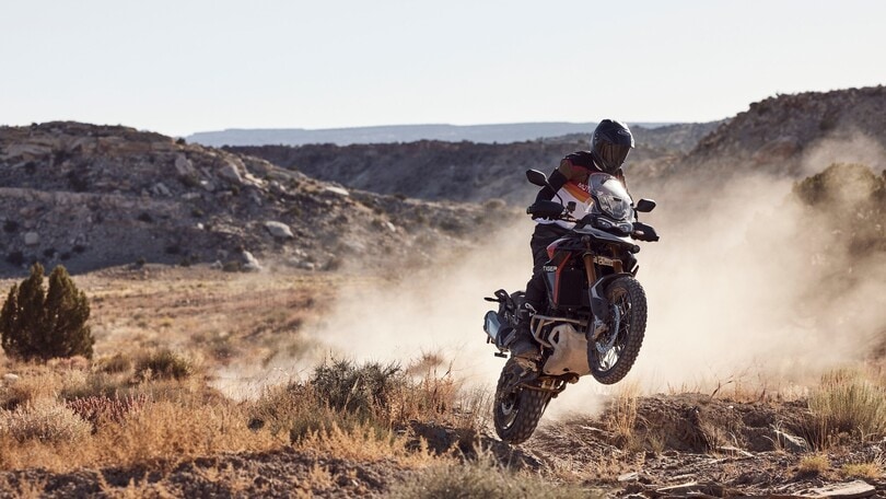 Triumph Tiger 900 GT, GT Pro e Rally Pro 2024| LE FOTO