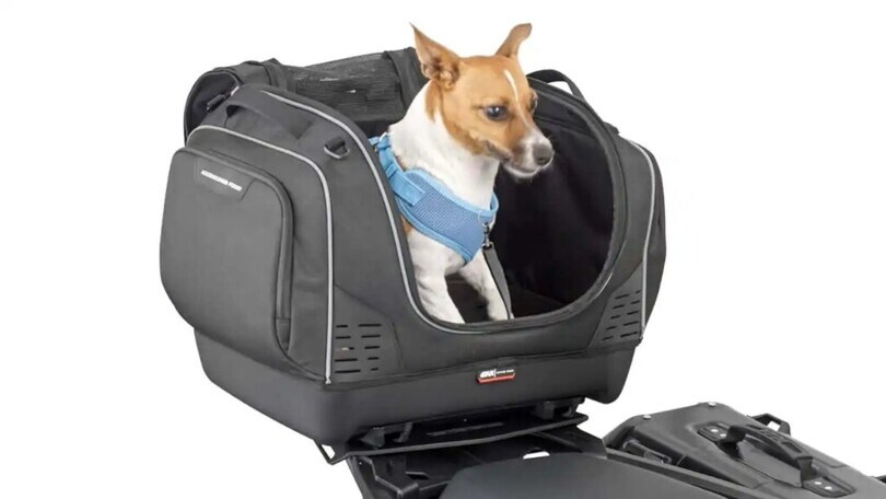 Givi, con la T525 Pet Beg in moto c'è posto anche per gli amici pelosi a 4 zampe