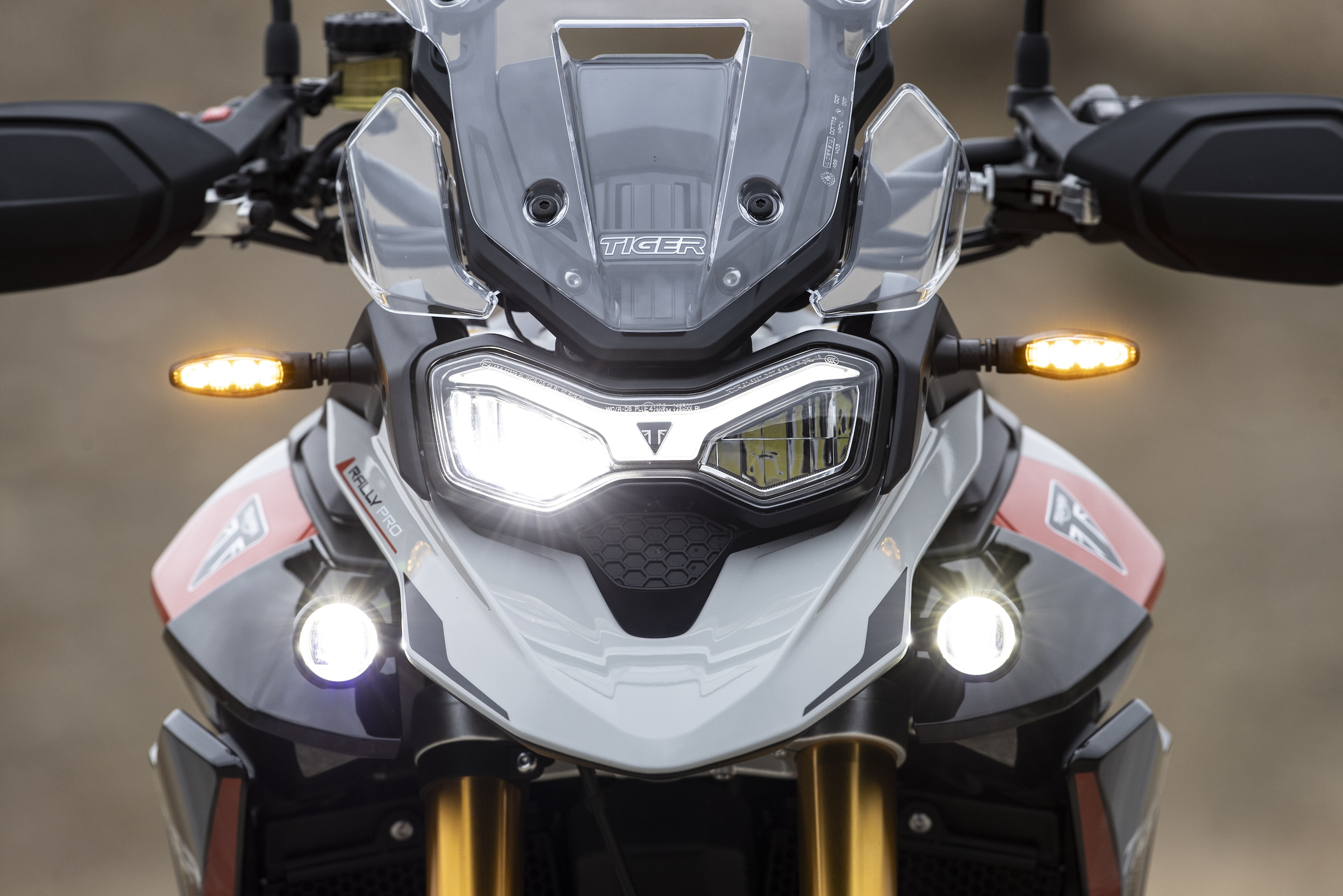 Triumph Tiger 900 Rally Pro: le foto del test