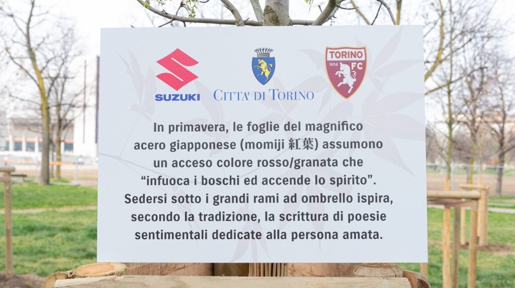 Suzuki, 11 alberi granata per celebrare il legame tra l'azienda e Torino