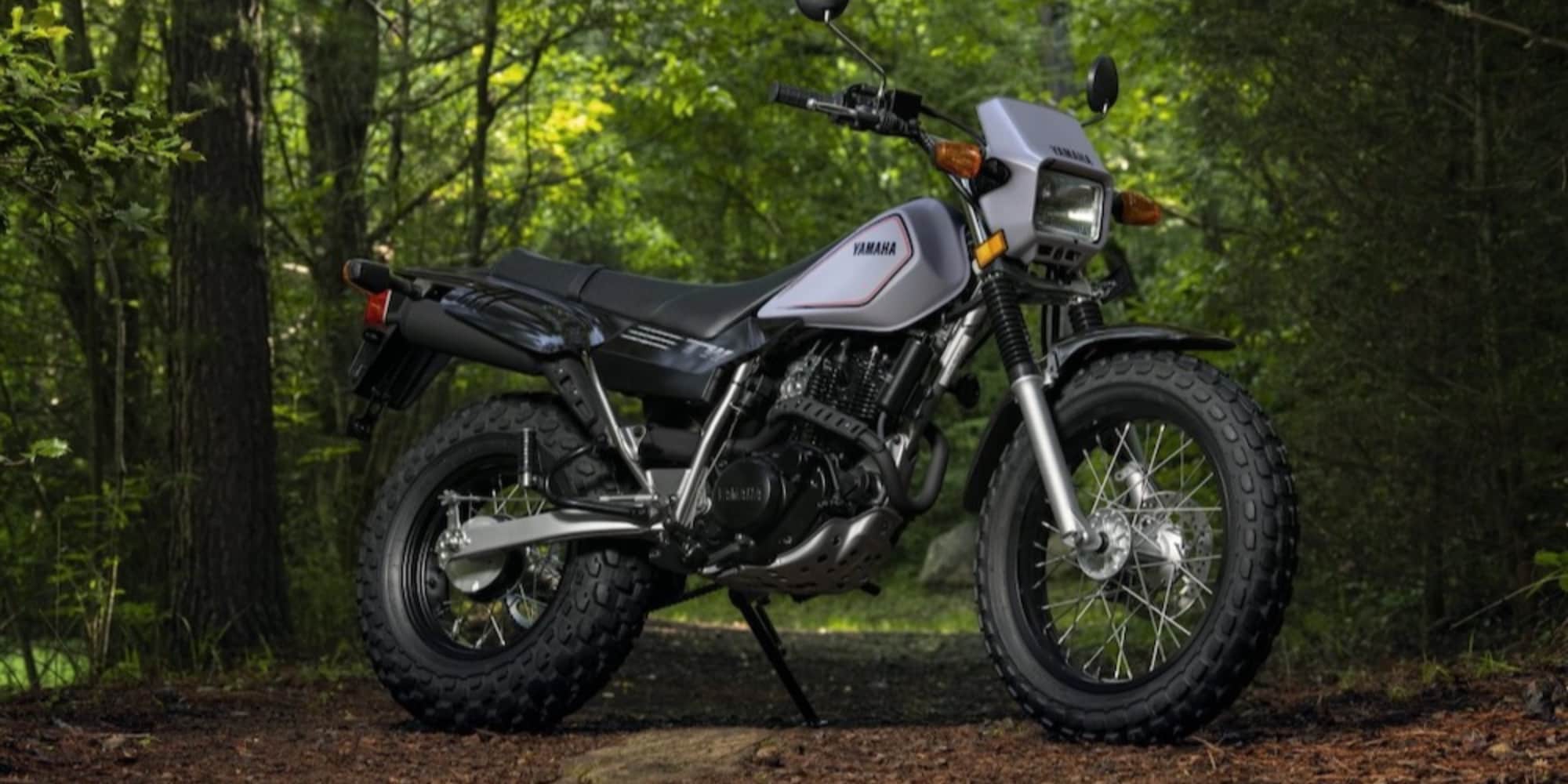 Nuova Yamaha TW200 in arrivo nel 2025, ma solo negli Usa