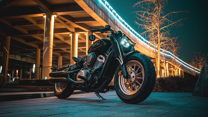 Benda Chincilla e Napoleonbob 500 - LE FOTO DELLA PROVA