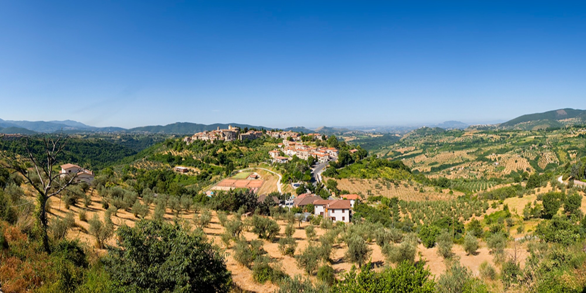 Eventi e sagre di agosto e settembre per un estate ricca di sapori e tradizioni