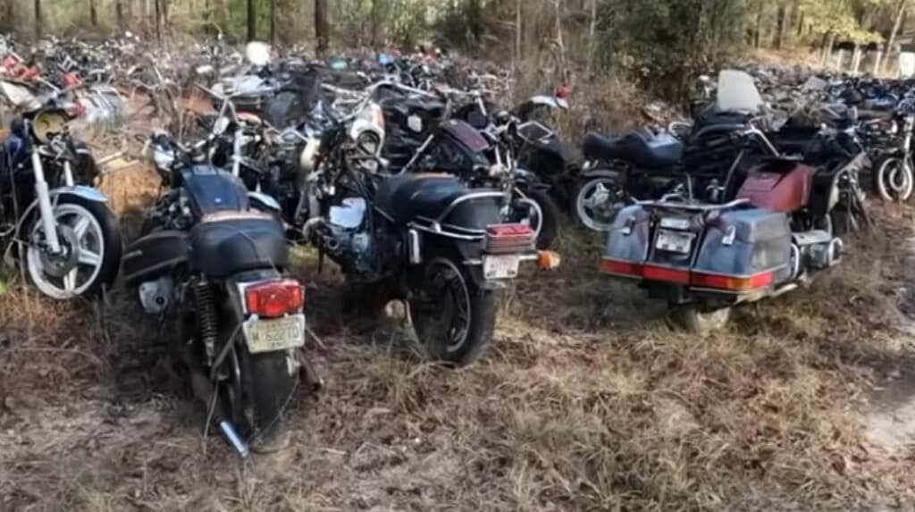 Più di 4'000 moto abbandonate in un bosco: come sono arrivate lì? (Presenti anche alcuni modelli rari)